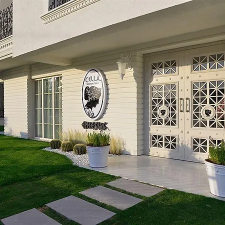 Cella & Ephesus 3* 셀주크